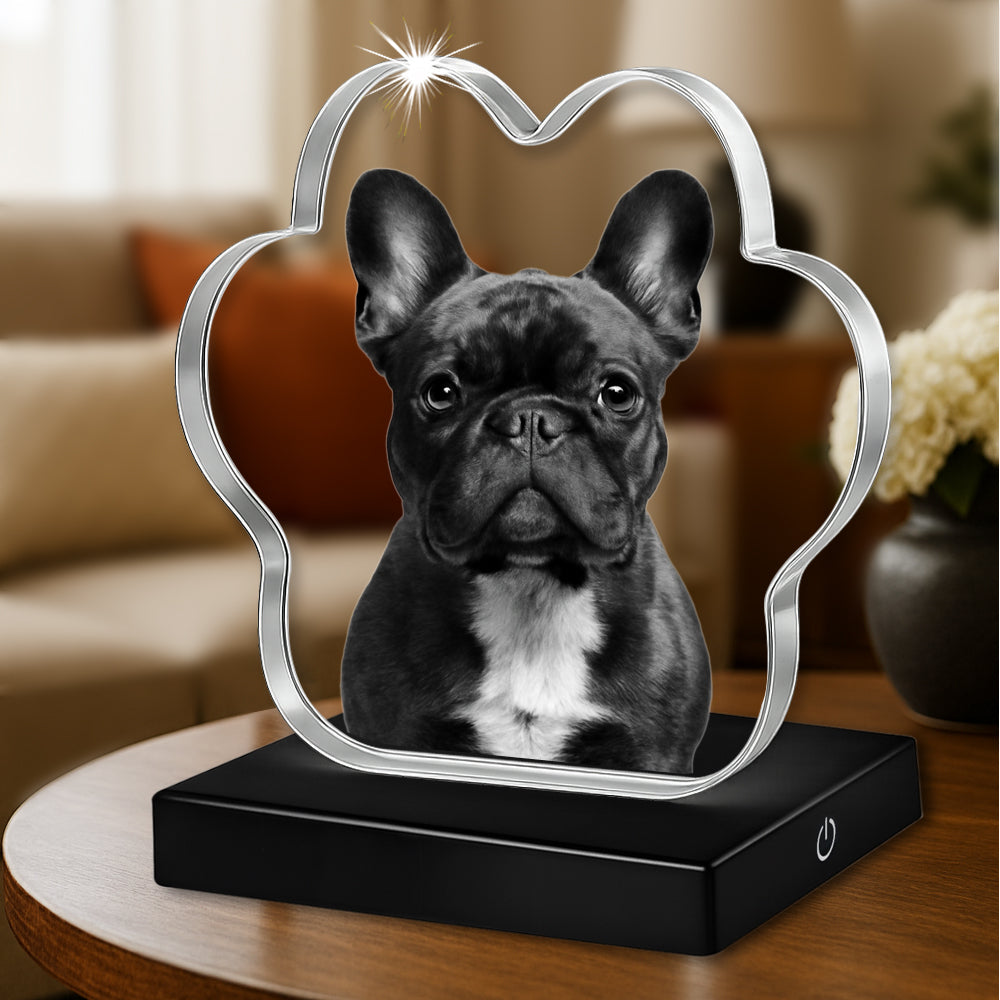 2D Paw Crystal