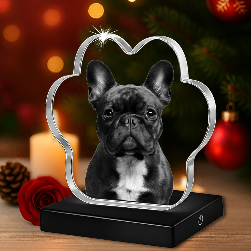 2D Paw Crystal