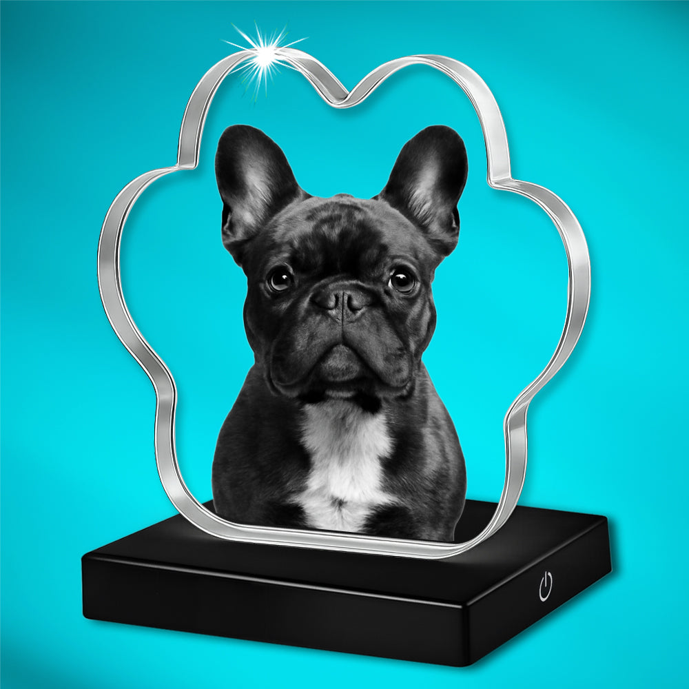 2D Paw Crystal