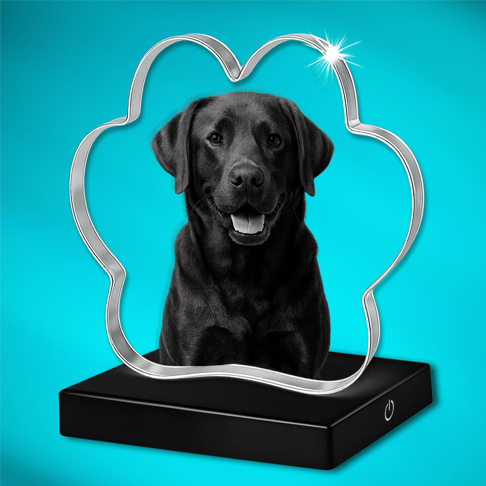 3D Paw Crystal